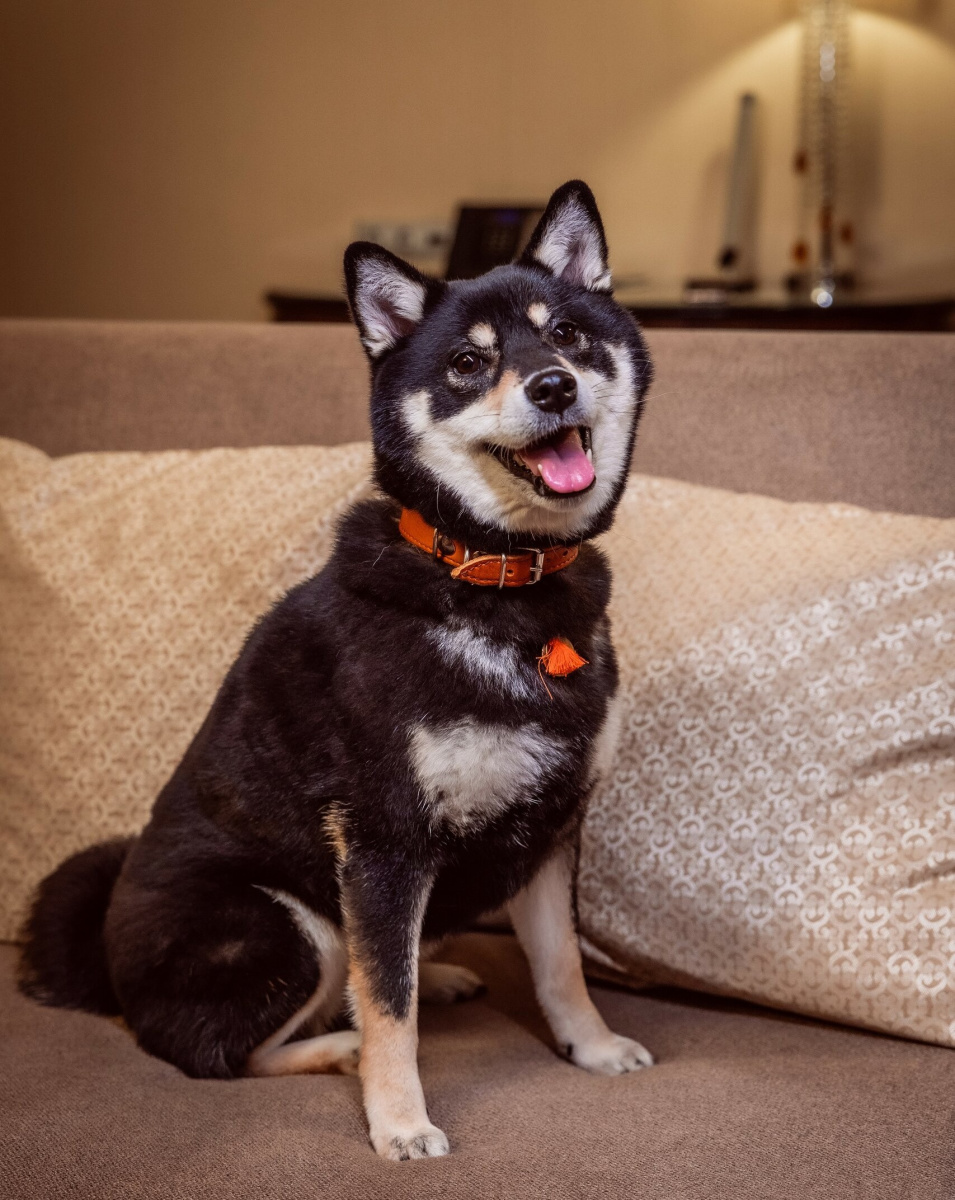 Plaza Garden Moscow wtc – это