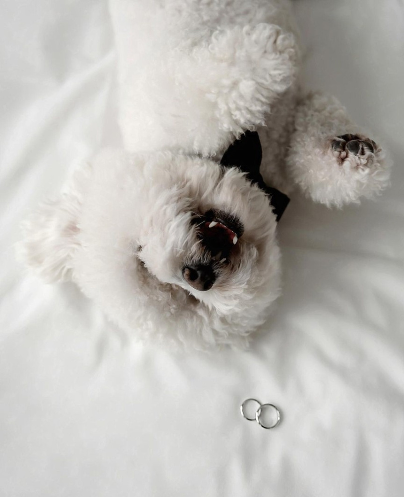 Рады Вашим питомцам